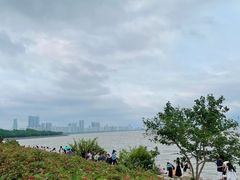 -深圳湾公园(南山区)
