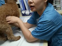 -安安宠医·安宠宠物医院