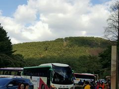-汉拿树木园