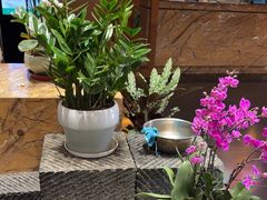 -黔蘑菇四季餐厅(观山湖店)