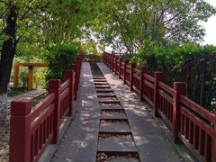 -高东镇樱花园