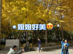 -西清公园