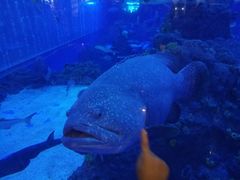 -成都浩海立方海洋公园