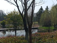 -九鼎轩脆毛肚火锅(商业街店)