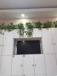 -香薇妮丝·定制减肥·身材管理