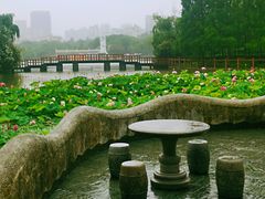 -黄兴公园