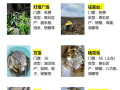 -巧克力渔家.小船海鲜胶东菜(万平口店)