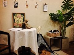 -猫友咖啡店(玉林西路店)