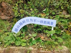 -秦岭天竺山景区