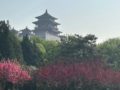 -莲花池公园