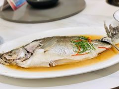 -国惠大酒楼(宝龙店)