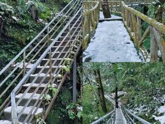 -龙苍沟森林公园