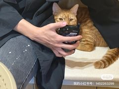 -康旭宠物医院(郑州总院)