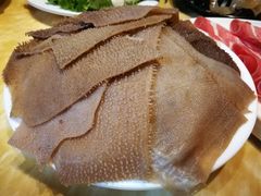 -清真军邺·金富苑肥牛(石坡街旗舰店)