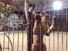 -清迈夜间动物园