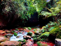 -赤水丹霞旅游区·佛光岩