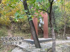 -阳台山自然风景区