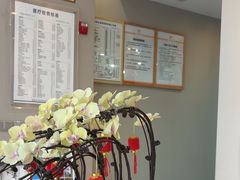 -土豆口腔(凤凰北总店)