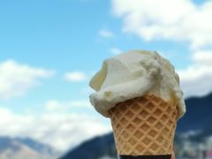 -Patagonia Chocolates(皇后镇店)