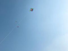 -南通洲际绿博园