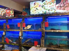水产区-友强·23年特色海鲜大排档(厦门店)