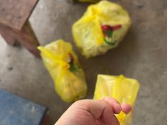 -马陆小张葡萄园农家乐