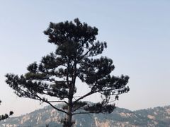 -在海一方公园