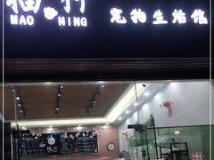 -集宠猫柠宠物生活馆