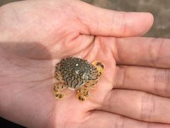 -嵊泗基湖沙滩