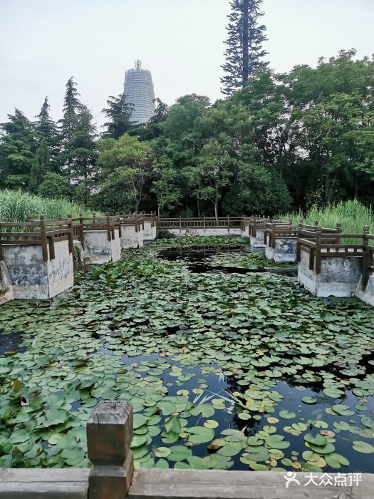 郑东新区湿地公园图片