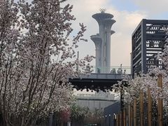 -北京奥林匹克公园