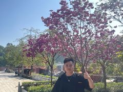 -南国桃园旅游度假区