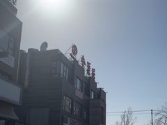 -全聚德(蓝山店)