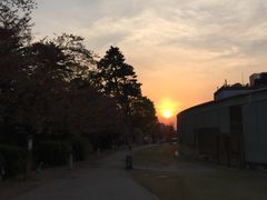 -金泽21世纪美术馆