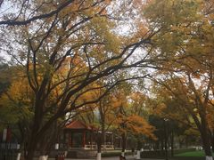 -山东大学(趵突泉校区)