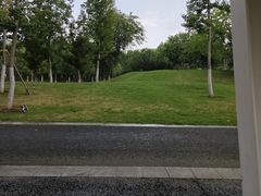 -皇粮浜湿地公园