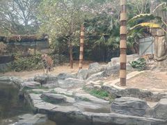 -深圳野生动物园