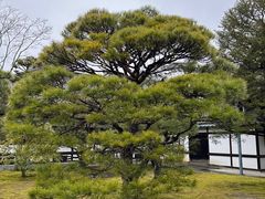 -京都御所