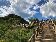 -大岭沟猕猴桃谷风景区