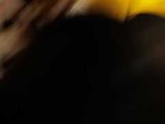 -伯爵·沉浸式超级密室·直营店