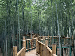 -陶祖圣境风景区