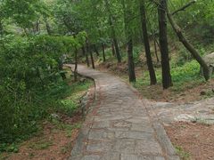 -金龙寺国家森林公园