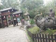 -合肥滨湖国家森林公园