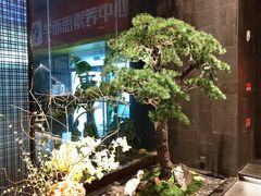 -悦宴·雅致餐厅(绿地蓝海店)