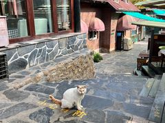 -北京水岸山吧度假村(雁栖镇店)