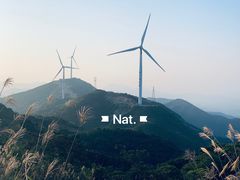 -惠东观音山