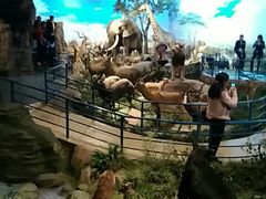 -陕西自然博物馆