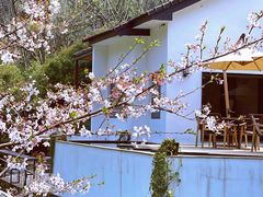 -杭州上天竺法喜讲寺