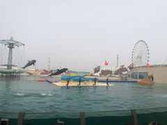 -秦皇岛乐岛海洋王国