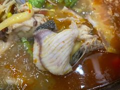 -大理.老字号渝记酸萝卜乌鱼(古城总店)